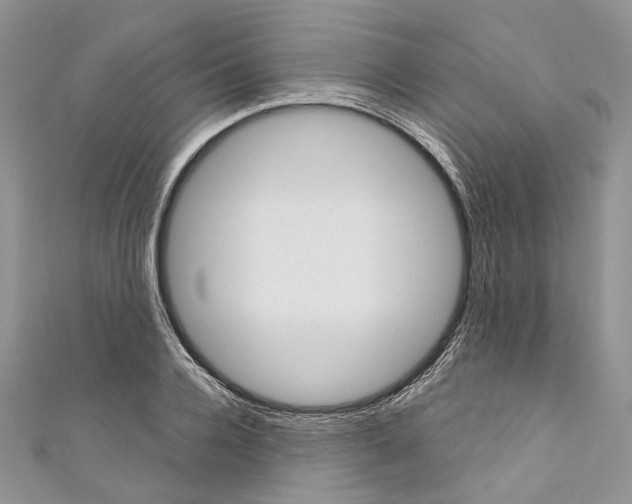 X0000110680936200907241040