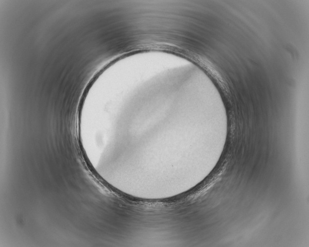 X0000110680940200907241040