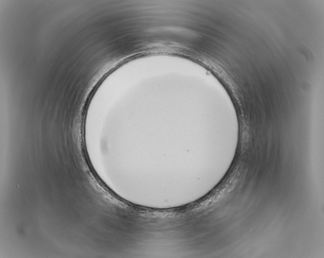 X0000110680941200907241040