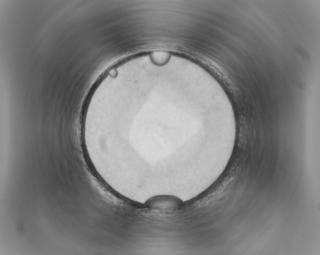 X0000110680942200907241040