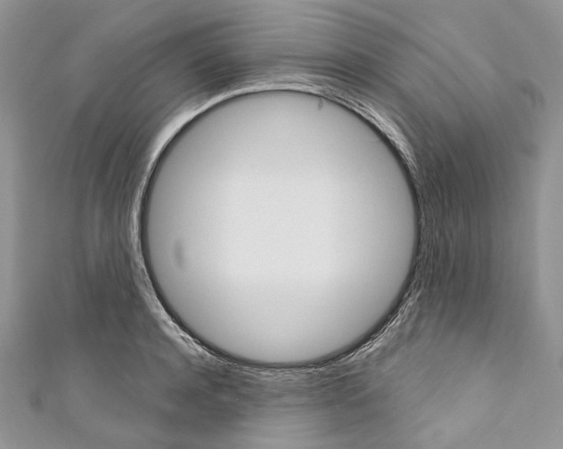 X0000110680944200907241040