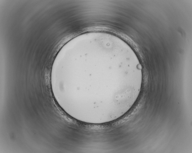 X0000110680945200907241041