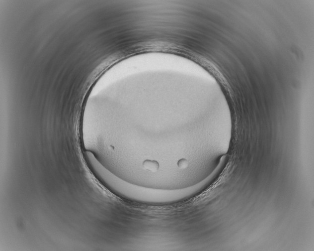 X0000110680946200907241041
