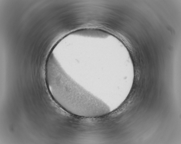 X0000110680950200907241041