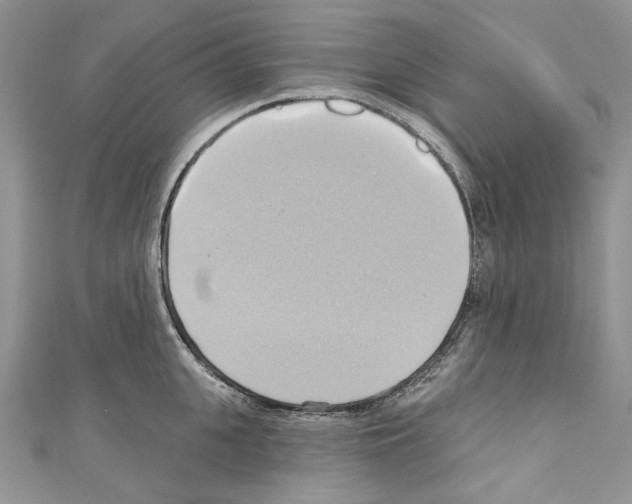 X0000110680951200907241041