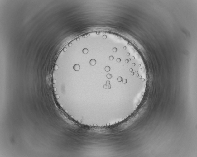 X0000110680953200907241041