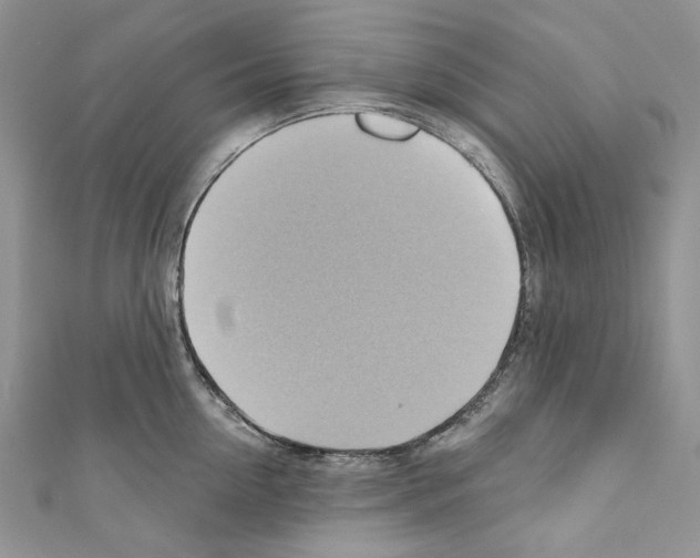 X0000110680954200907241041