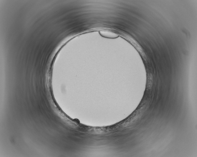 X0000110680955200907241041