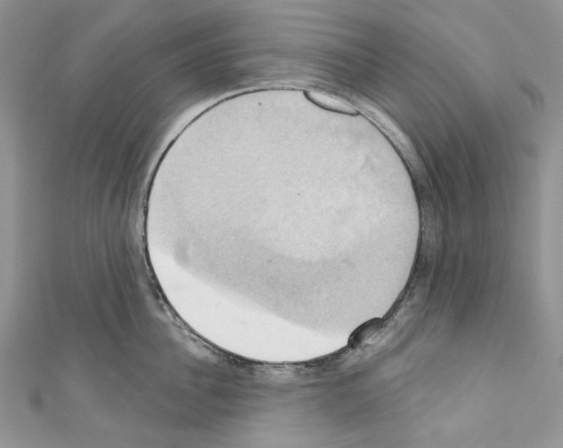 X0000110680956200907241041