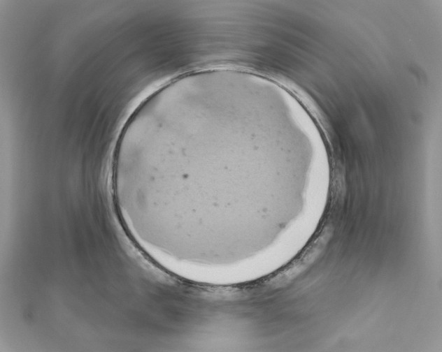 X0000110680957200907241041