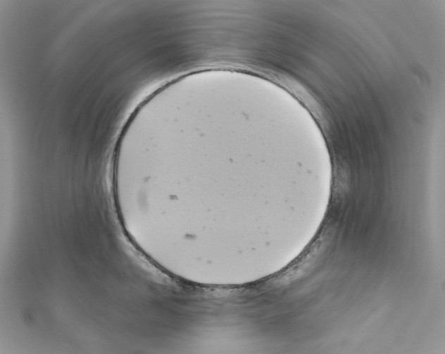 X0000110680958200907241041