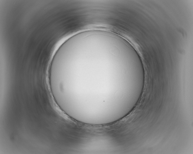 X0000110680960200907241041