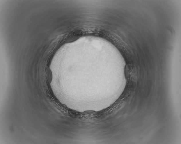 X0000110680961200907241040