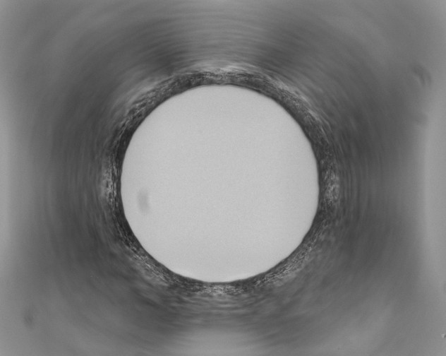 X0000110680966200907241040