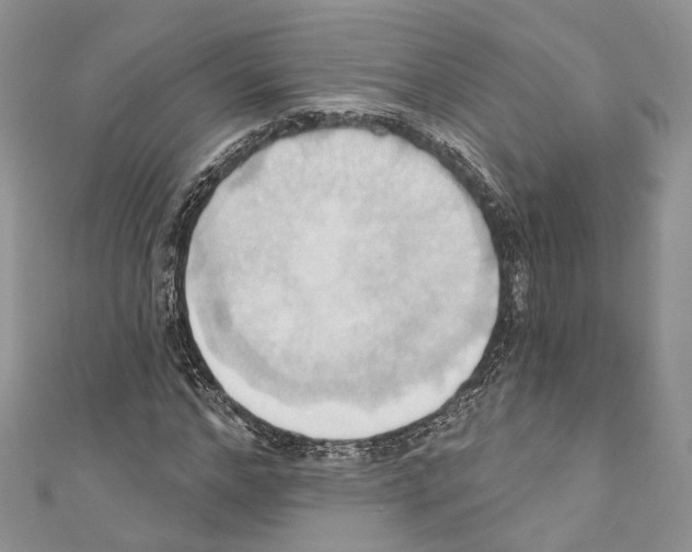 X0000110680968200907241040