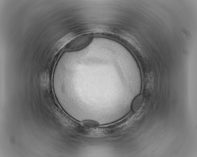 X0000110680969200907241040
