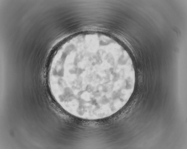 X0000110680971200907241040