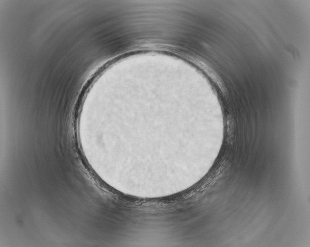 X0000110680972200907241040