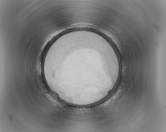 X0000110680973200907241040