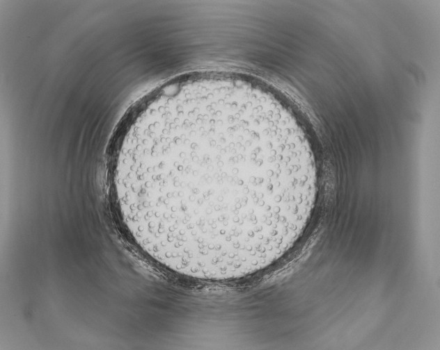 X0000110680974200907241040