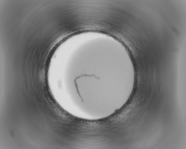 X0000110680975200907241040