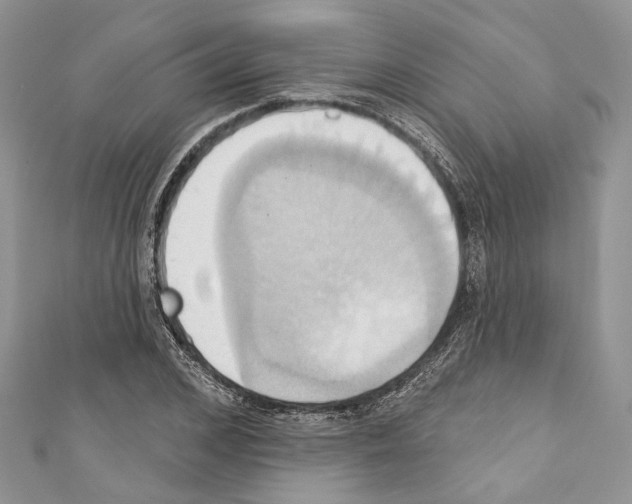 X0000110680976200907241040