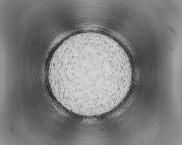X0000110680978200907241040