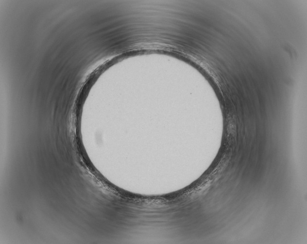 X0000110680979200907241040