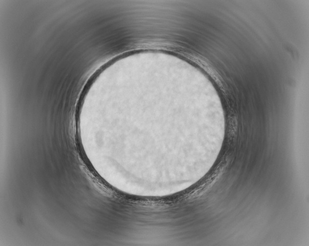X0000110680980200907241040