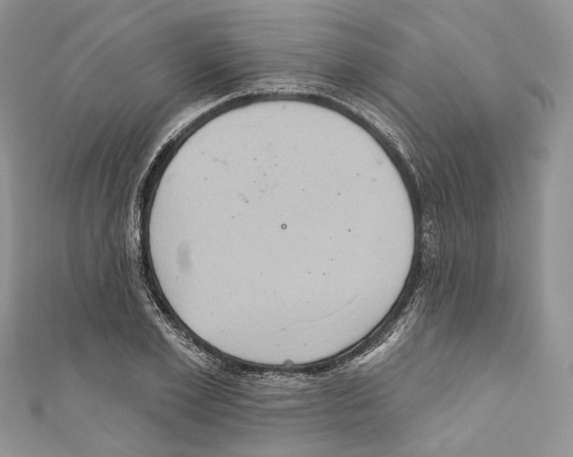 X0000110680981200907241040