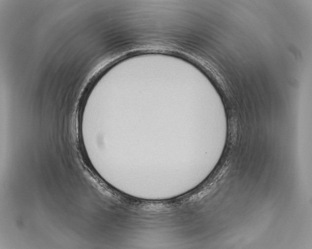 X0000110680982200907241040