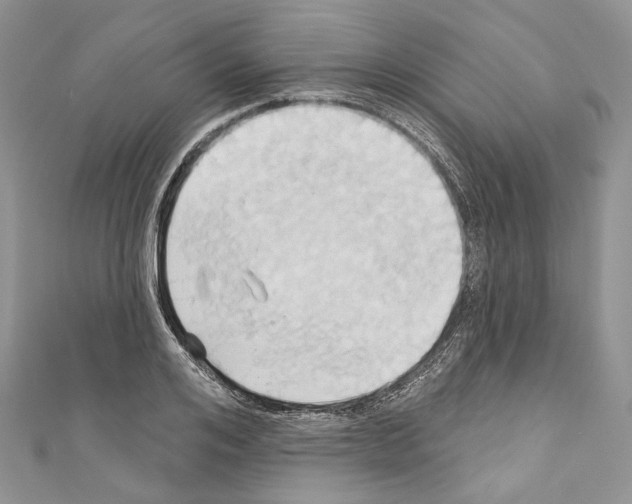 X0000110680984200907241040