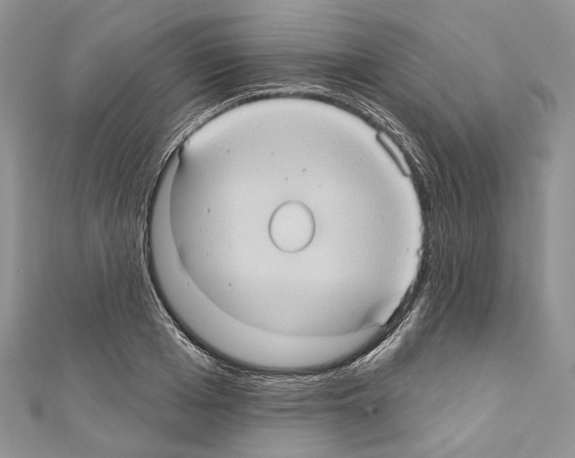 X0000110680985200907241040