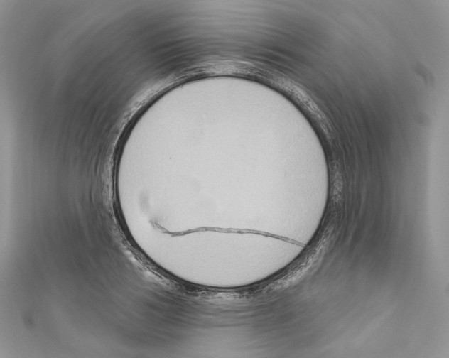 X0000110680986200907241040