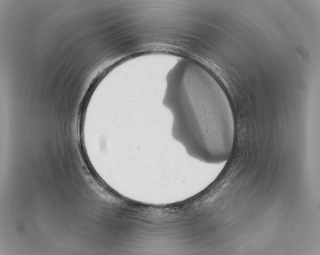 X0000110680987200907241040