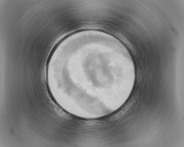 X0000110680988200907241040