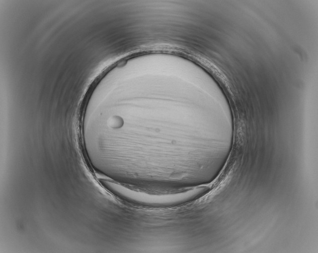 X0000110680989200907241040