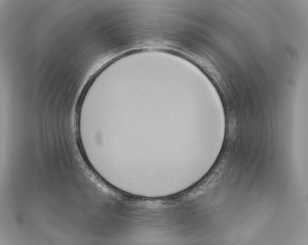 X0000110680990200907241040