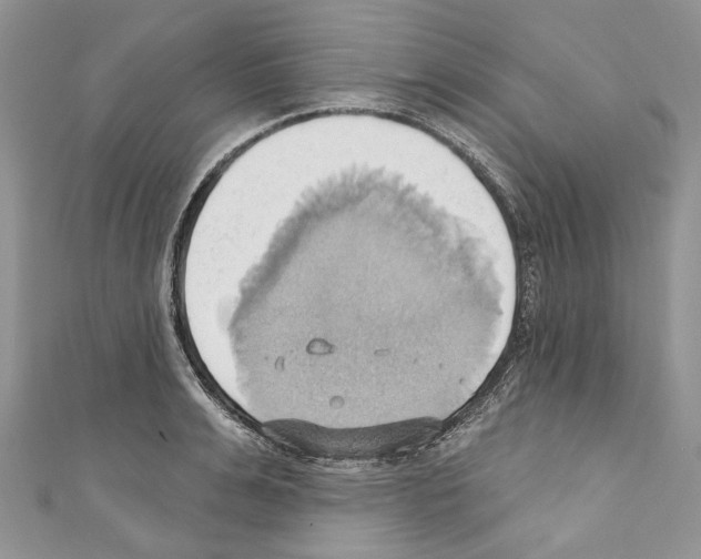 X0000110680991200907241040