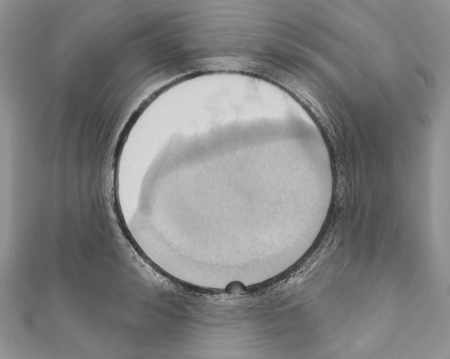 X0000110680992200907241040