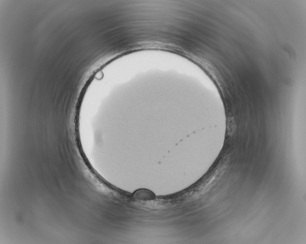 X0000110680995200907241039