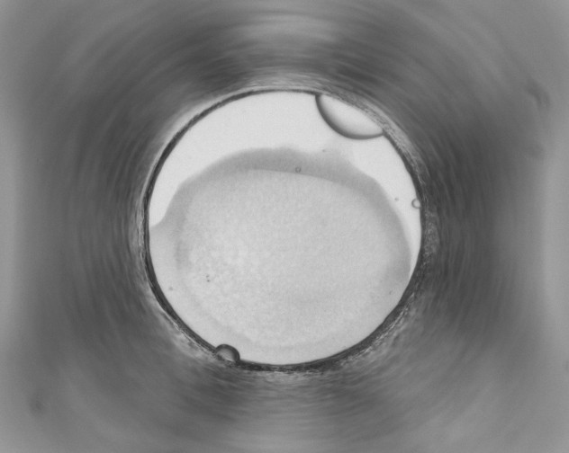 X0000110680996200907241039