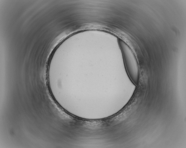X0000110680997200907241039