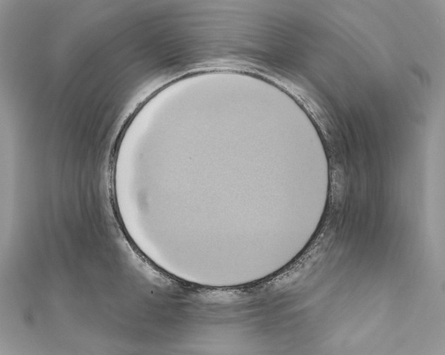 X0000110680998200907241039