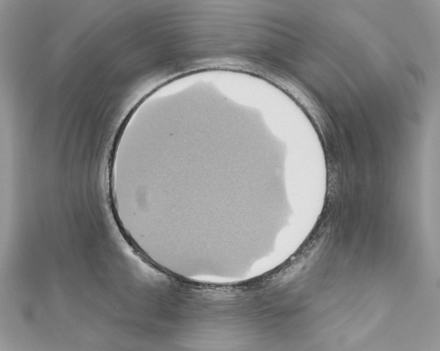 X0000110680999200907241039