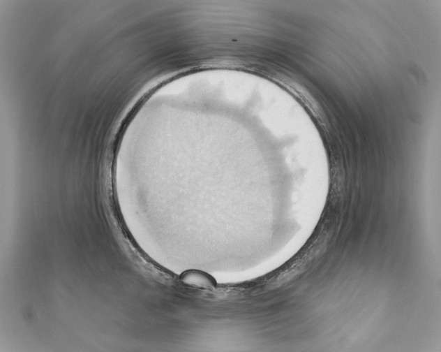 X0000110681000200907241039