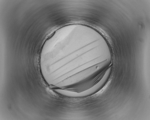 X0000110681001200907241039