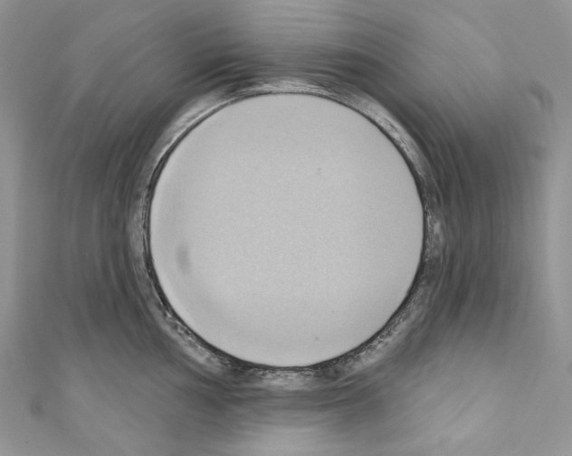 X0000110681002200907241039