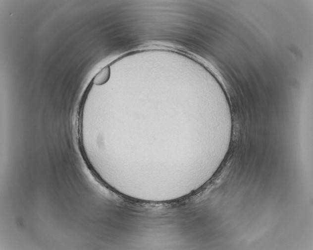 X0000110681003200907241039