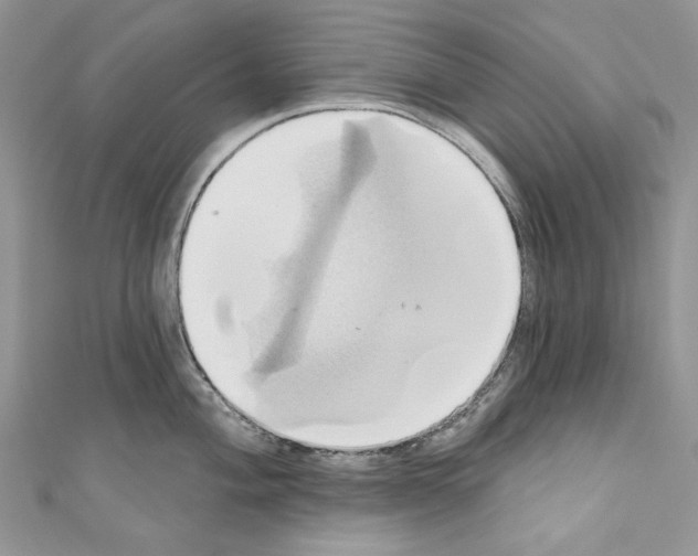 X0000110681004200907241039